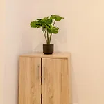 Terra Apartamento
