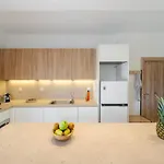 Terra *
